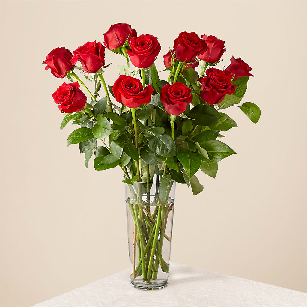 Long Stem Red Rose Bouquet – The Garden By Elizabeth, Culver IN