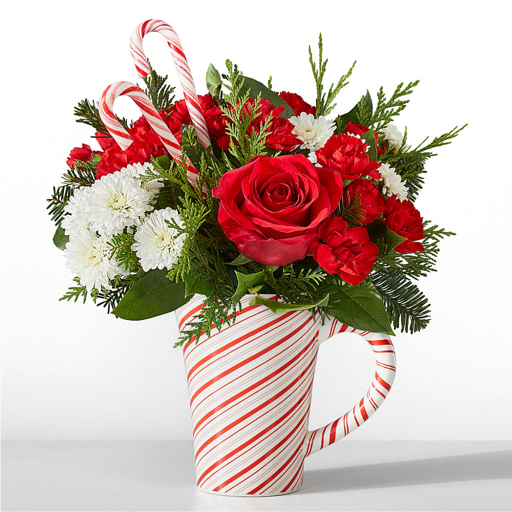 Peppermint Swirl Mug – The Garden By Elizabeth, Culver IN
