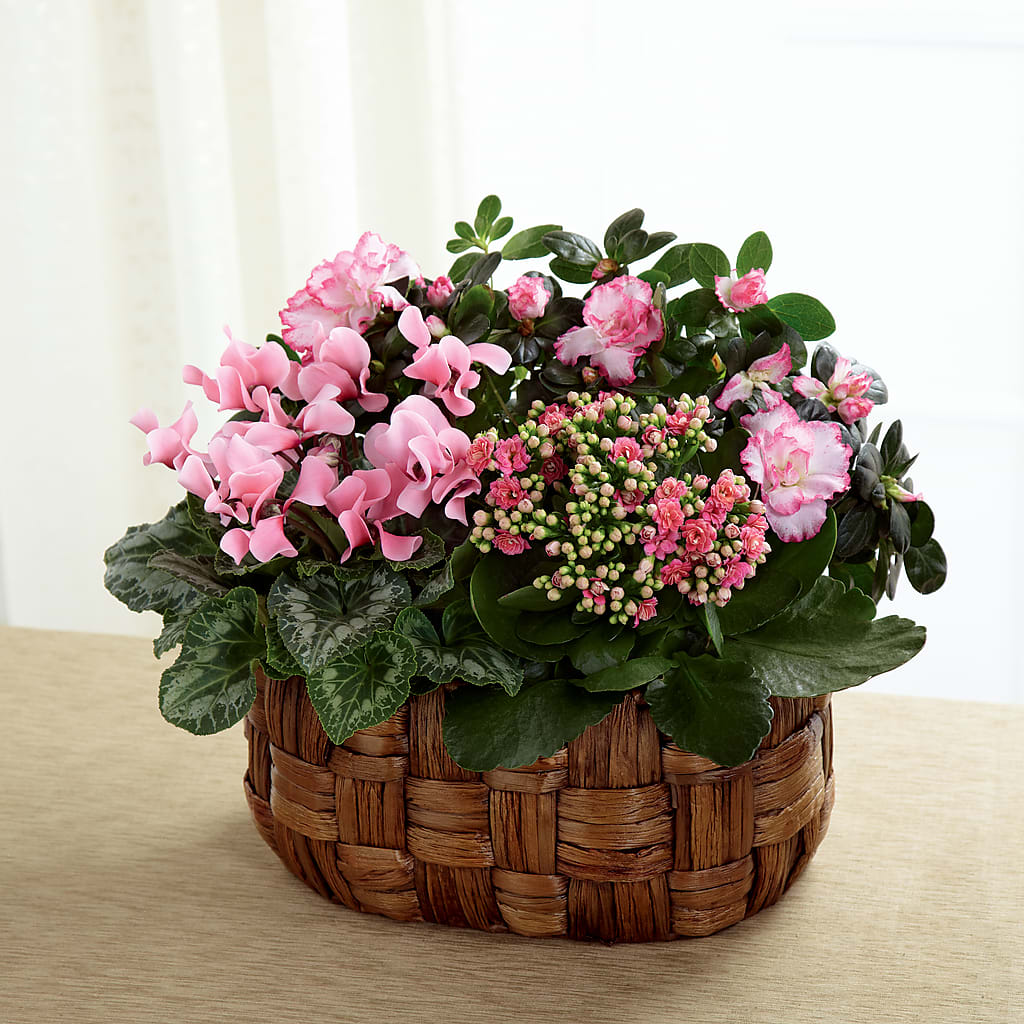 Pink Assortment – The Garden By Elizabeth, Culver IN