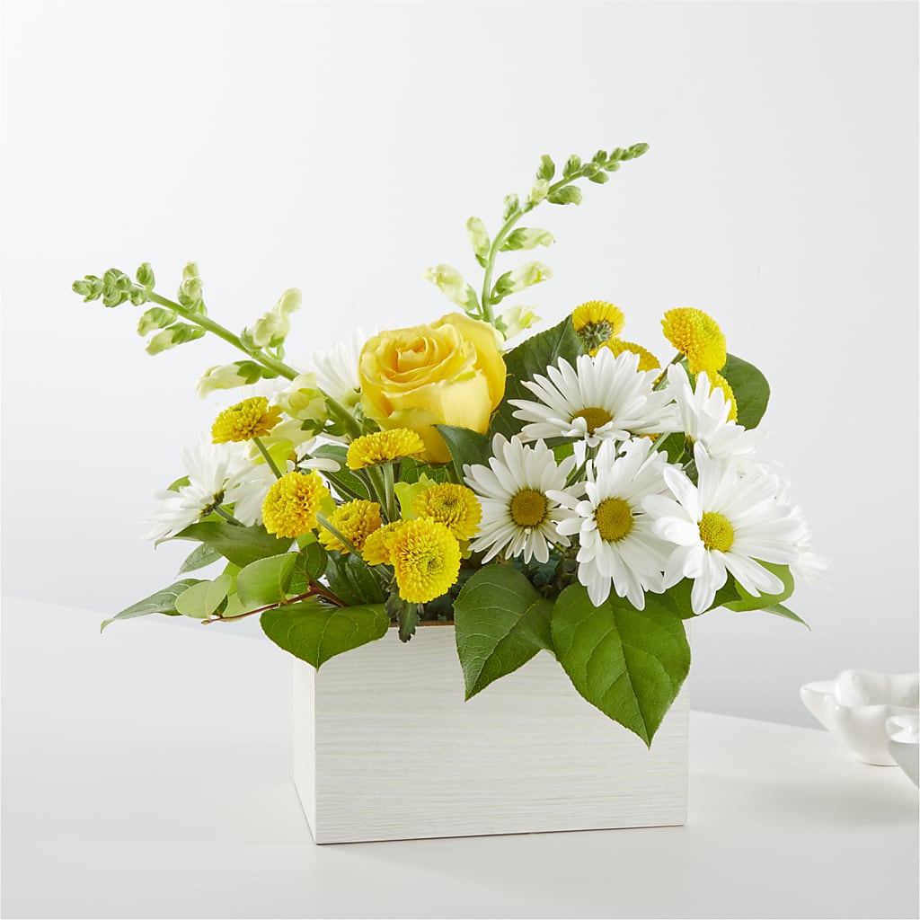 Sun Salutation Box Bouquet – The Garden By Elizabeth, Culver IN