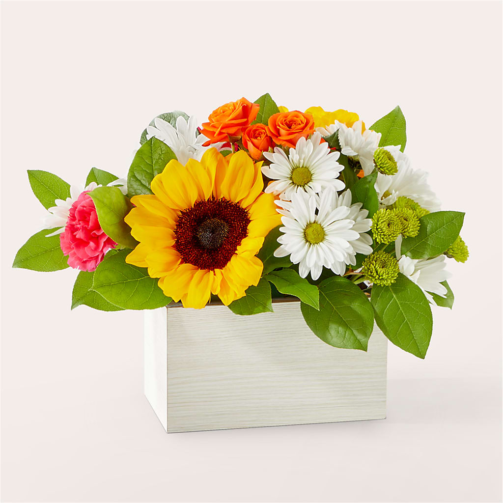 Sun-drenched Blooms Box Bouquet – The Garden By Elizabeth, Culver IN