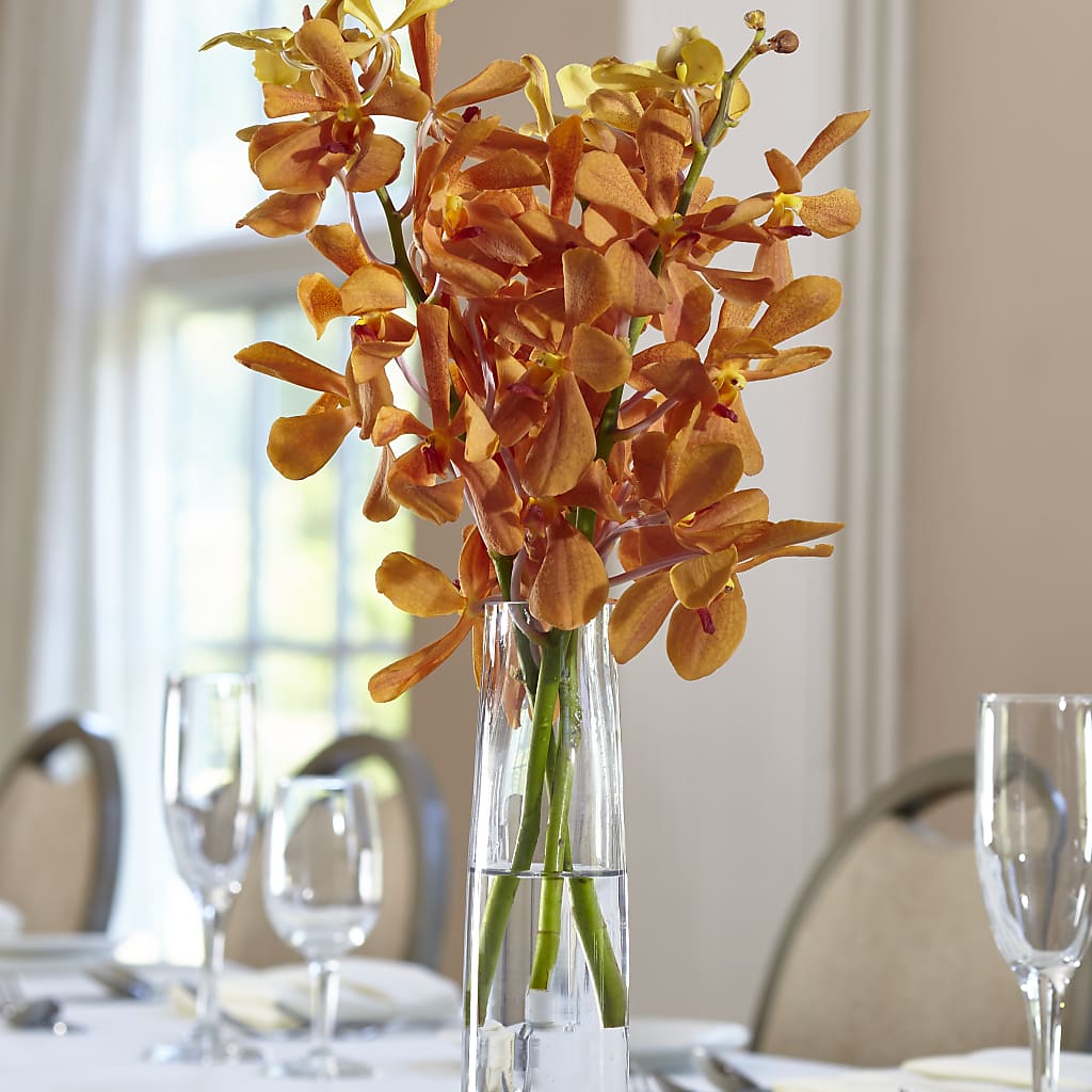 Orange Mokara Bud Vase – The Garden By Elizabeth, Culver IN