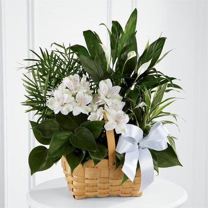 Peace & Serenity Dishgarden –  The Garden By Elizabeth, Culver IN