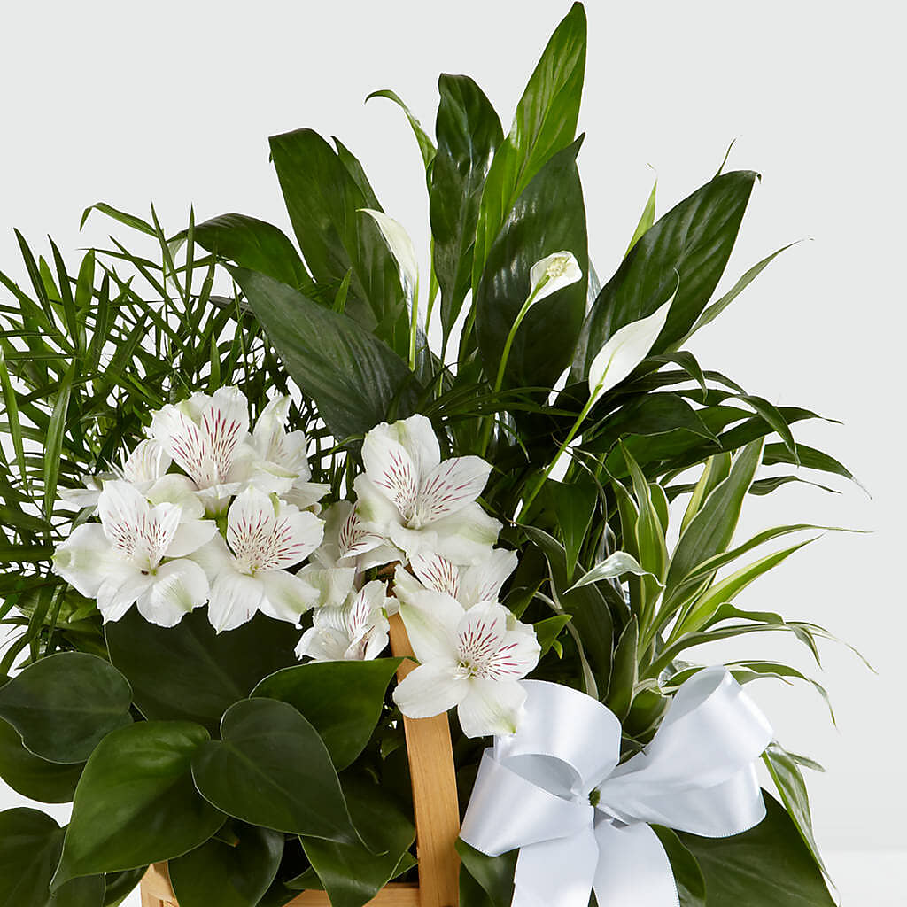 Peace & Serenity Dishgarden –  The Garden By Elizabeth, Culver IN