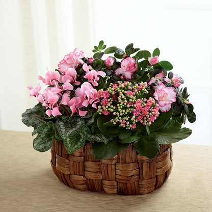 Pink Assortment –  The Garden By Elizabeth, Culver IN