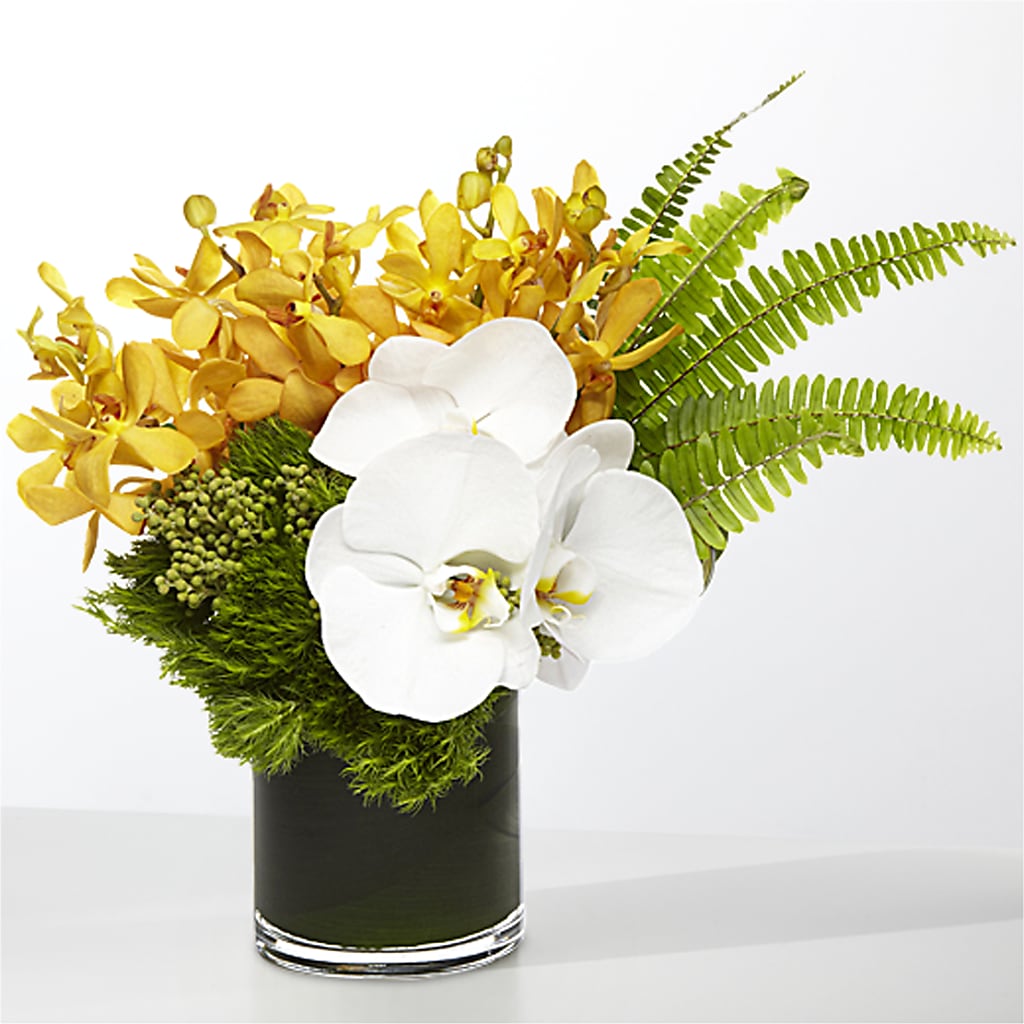 The Tropics –  The Garden By Elizabeth, Culver IN