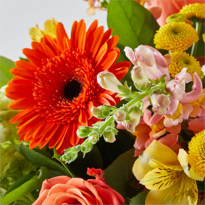 Autumn Sunshine Bouquet –  The Garden By Elizabeth, Culver IN
